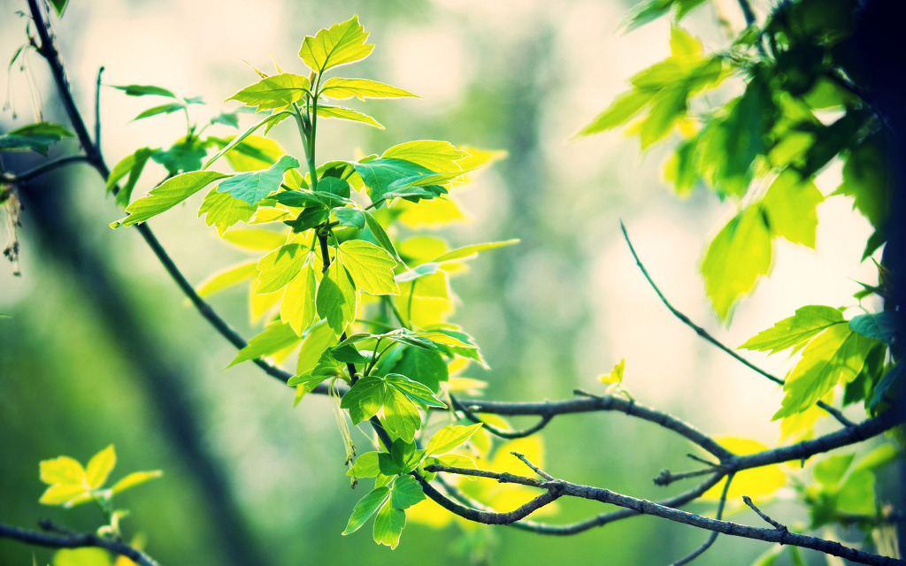 Ǫ��
(Ŭ���ϸ� ����ũ��� �� �� �ֽ��ϴ�.)