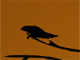 Ŭ¸¯ÇÏ½Ã¸é »ó¼¼ Á¤º¸¸¦ º¸½Ç ¼ö ÀÖ½À´Ï´Ù.