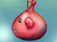 ŬϽø ֽϴ.