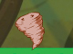 ŬϽø     ֽϴ.