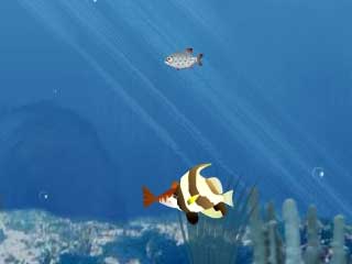 ��׸� �Ƕ��