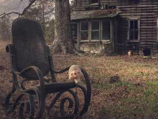 ����� �� �̽�������