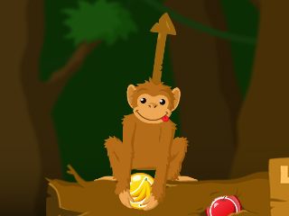 ���� ����