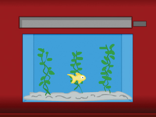 �̽������� �� ���� �� ��