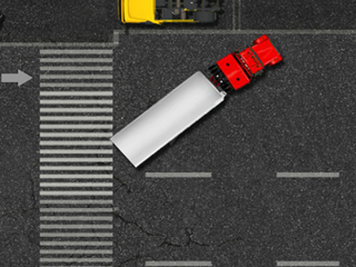 ��� Ʈ�� ��ŷ