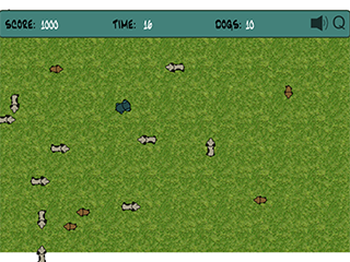 ���� �� ����